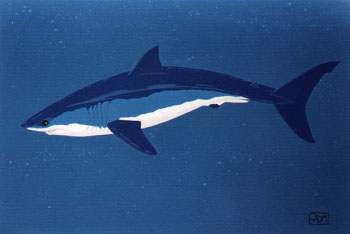Mako